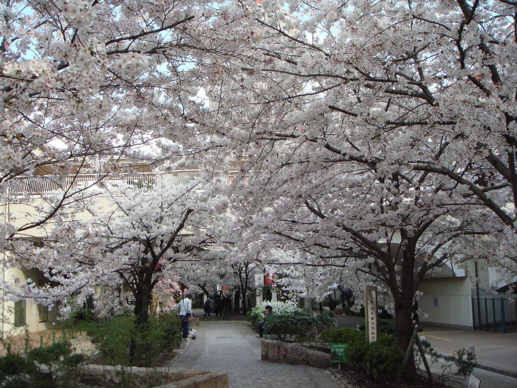 Hotel Wakamizu Такарадзука Экстерьер фото