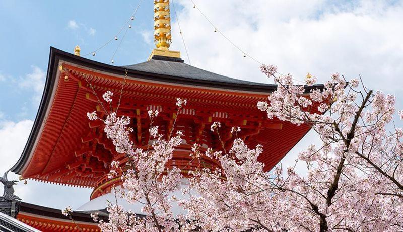 Hotel Wakamizu Такарадзука Экстерьер фото
